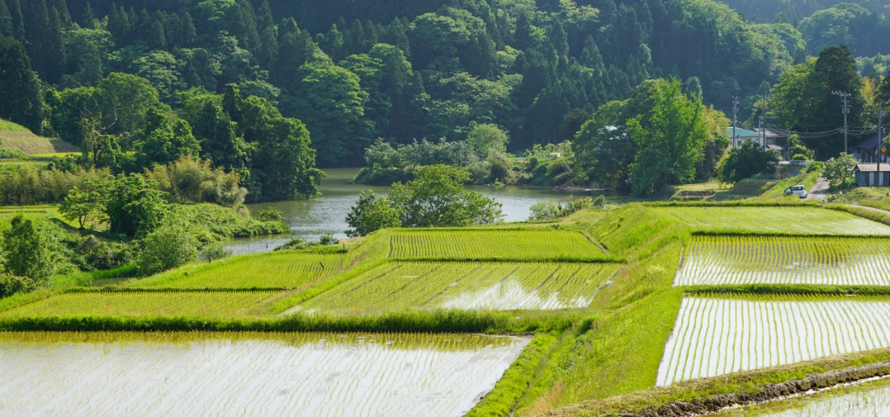日本の原風景を守りながら地域活性化