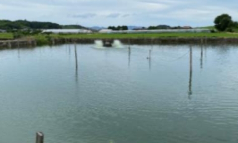 水を溜める